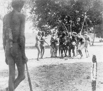 Isolation of sperm in insects Glass eye missionary landing strip